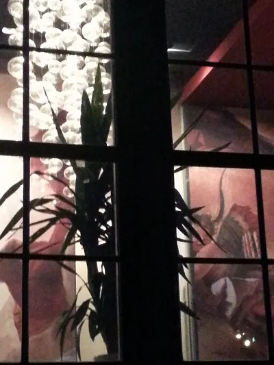 Evelina Blum – persönliche Begleitung